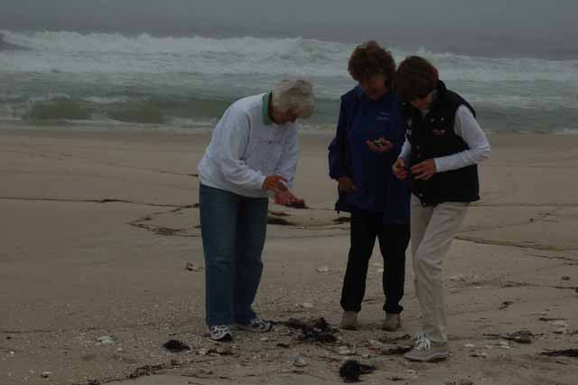Island Beach State Park